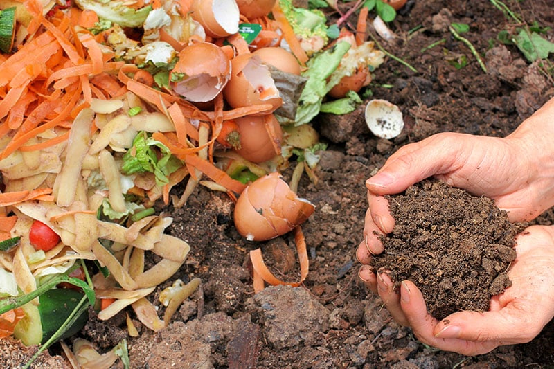 Hands holding soil next to pile of compost