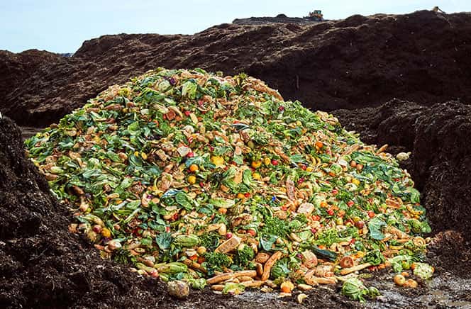 Compost Pile sitting atop soil