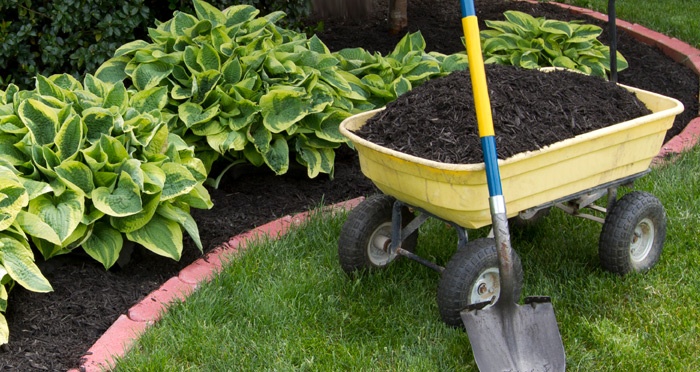 Landscape Architects & General Contractors Landscape Architects & General Contractors