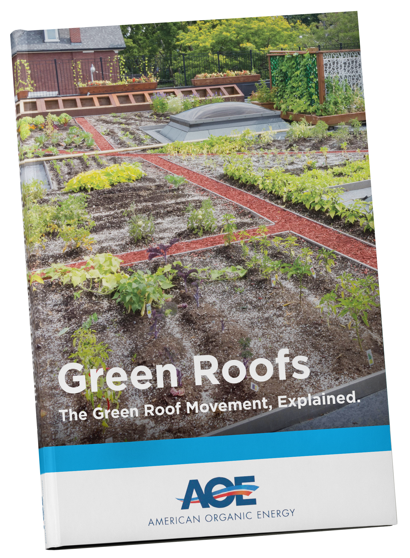 Green Roof PDF Download