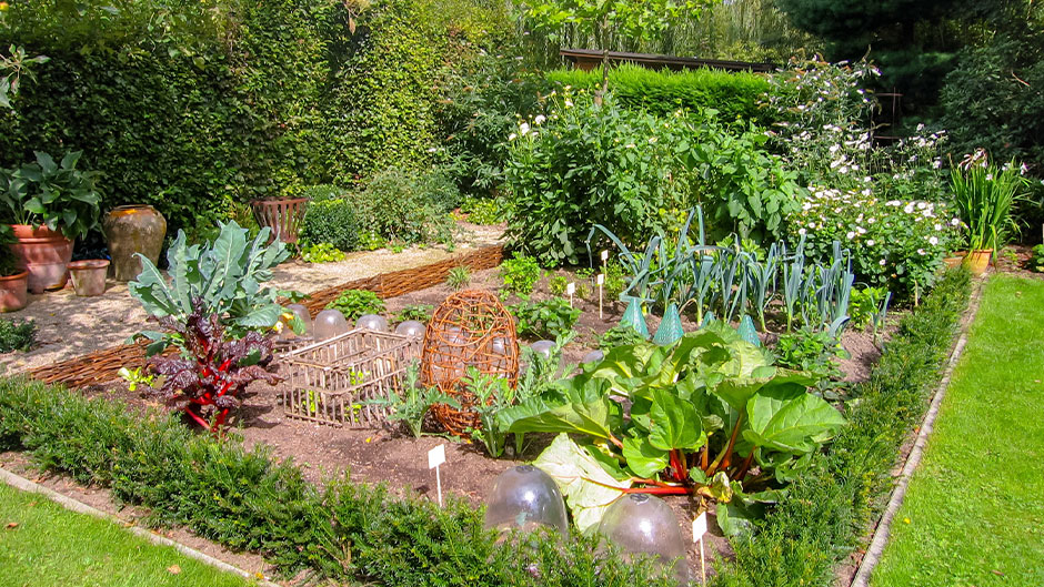 Garden with vegetables, flowers, and more.