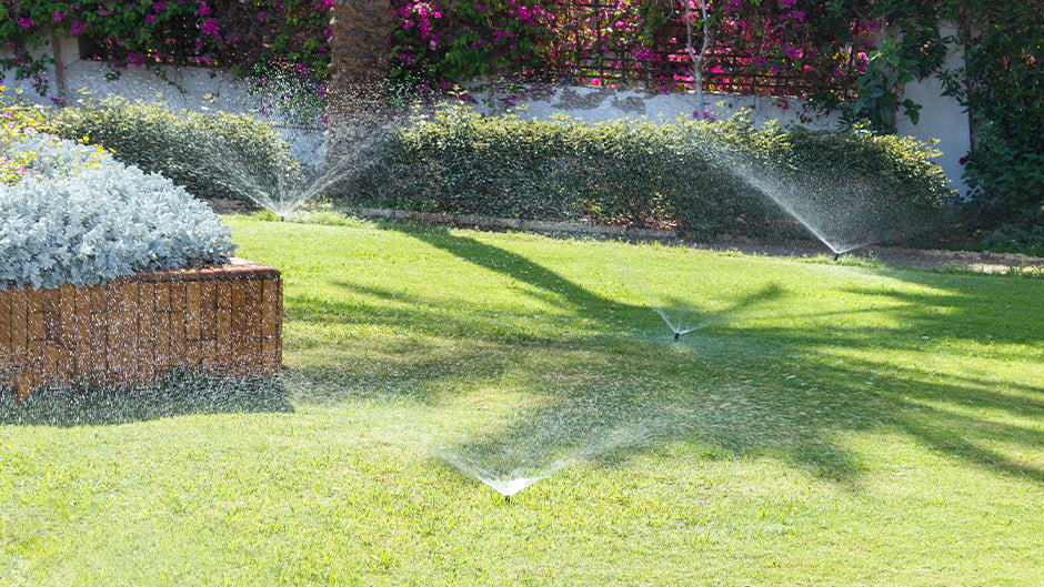 Backyard with sprinklers watering the lawn