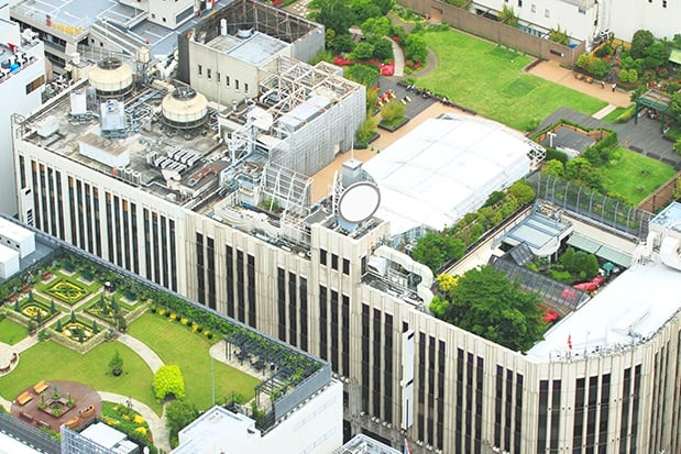 Rendering of buildings with green roofs