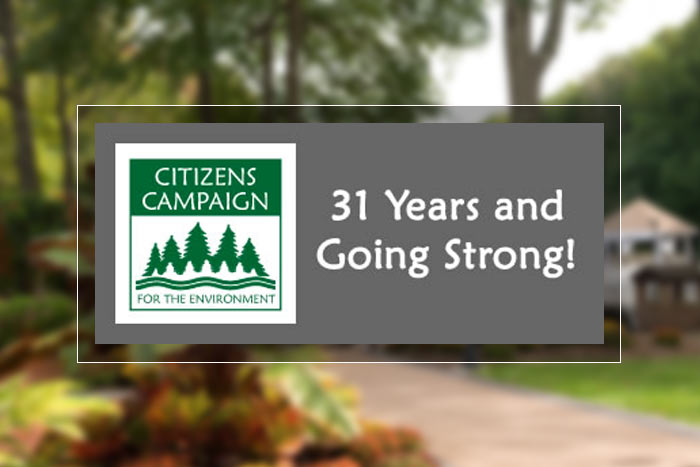 Citizens campaign logo with text - 31 years and going strong - over blurred garden background