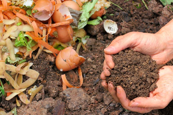 Hands holding soil next to compost pile