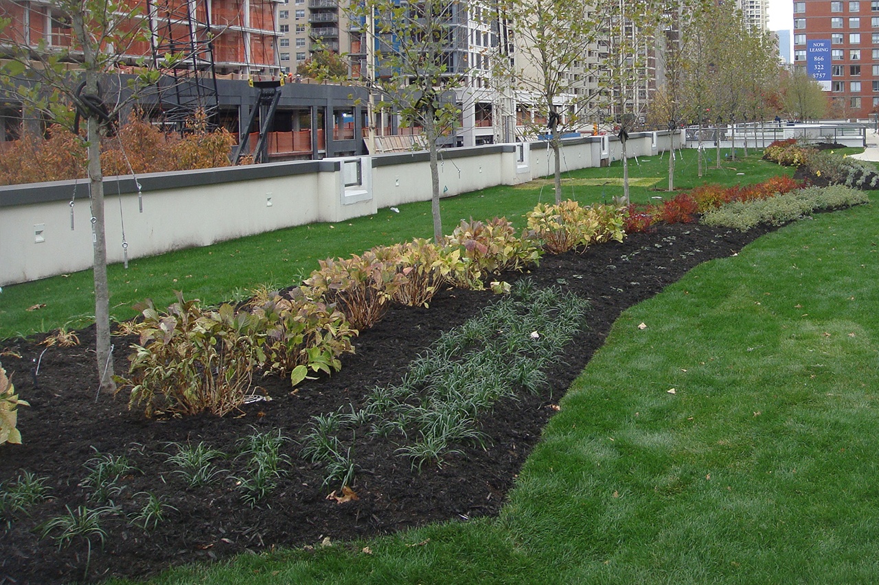 Green roof flower bed with plants on green grass