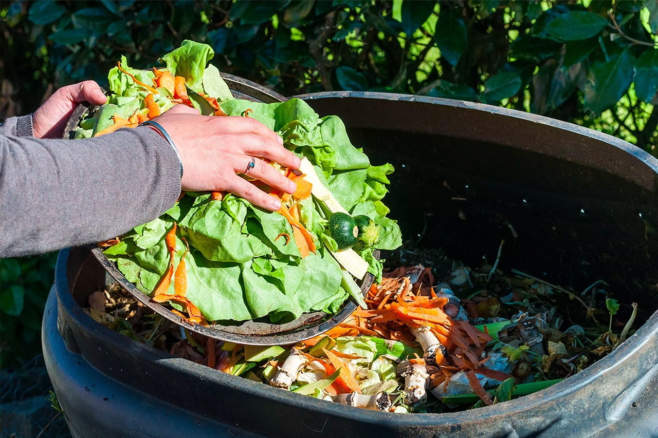 Compost being poured into bucket