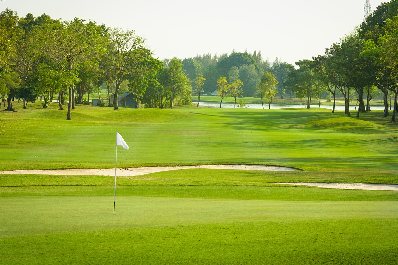 Golf Course landscape