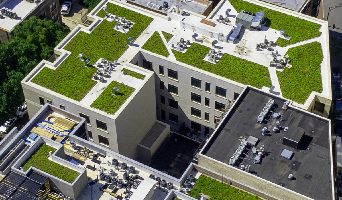 aerial view of green rooftops in city setting