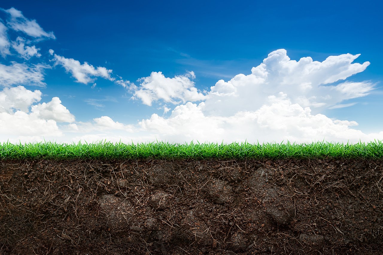 Landscape of sky, grass and soil under earth