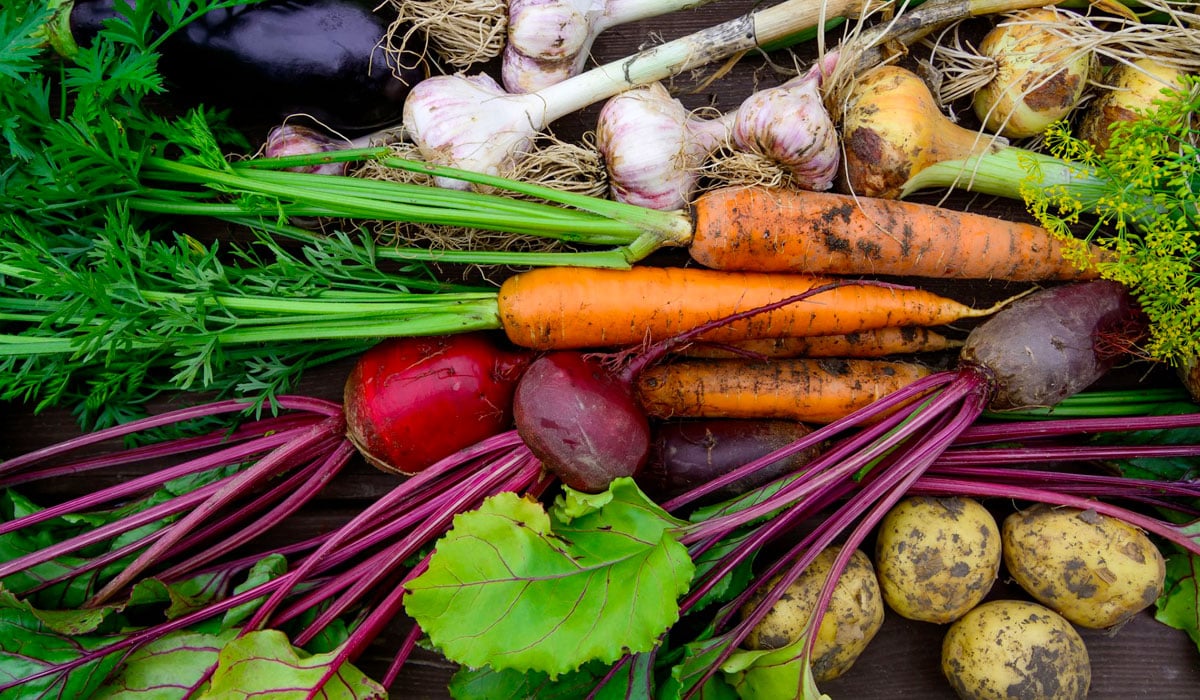 assorted variety of organic vegetables