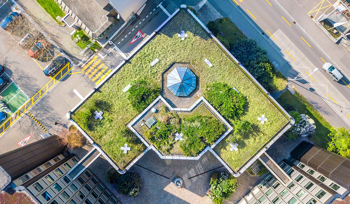 birds eye view of top of apartment complex roof covered with green plants