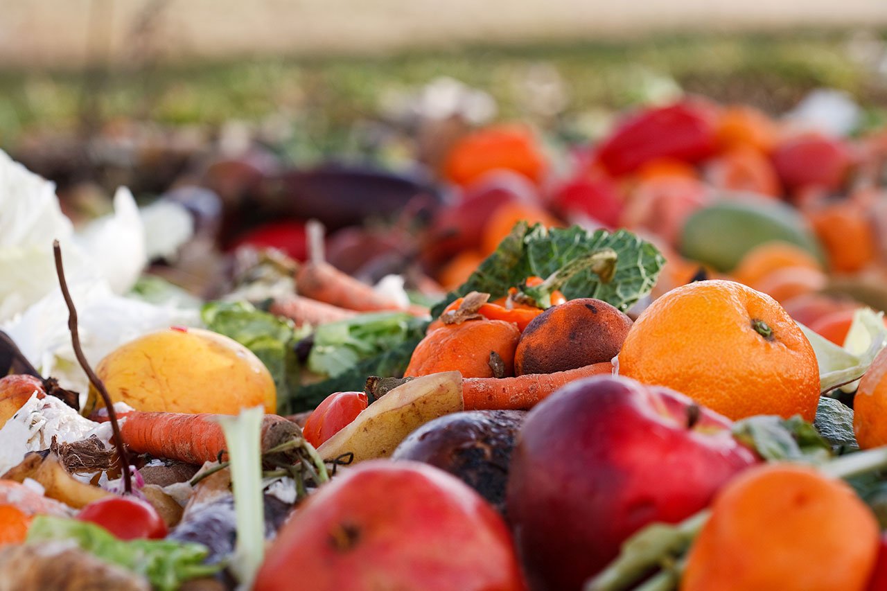 assorted food waste on the ground