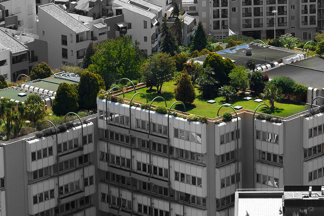 trees, grass, and bushes on top of a roof building