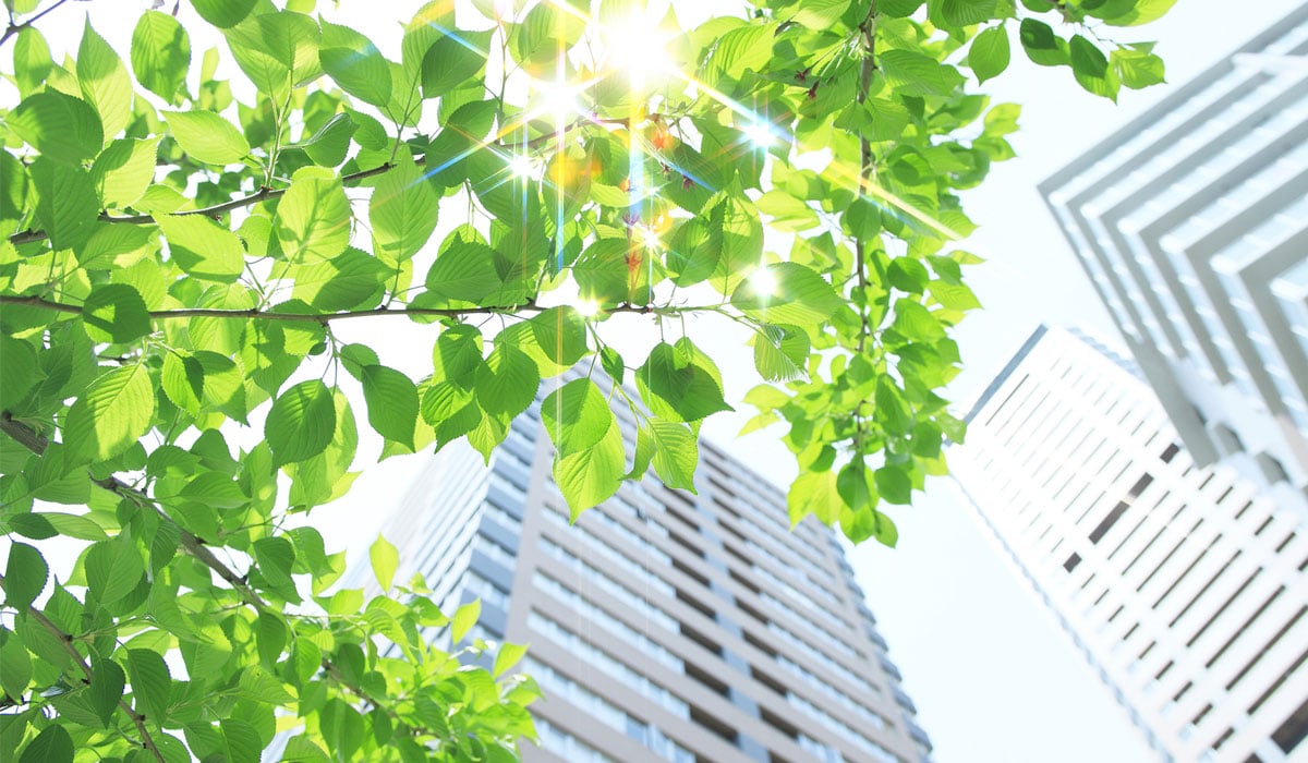 looking up at tall skyscraper building with green tree in the foreground