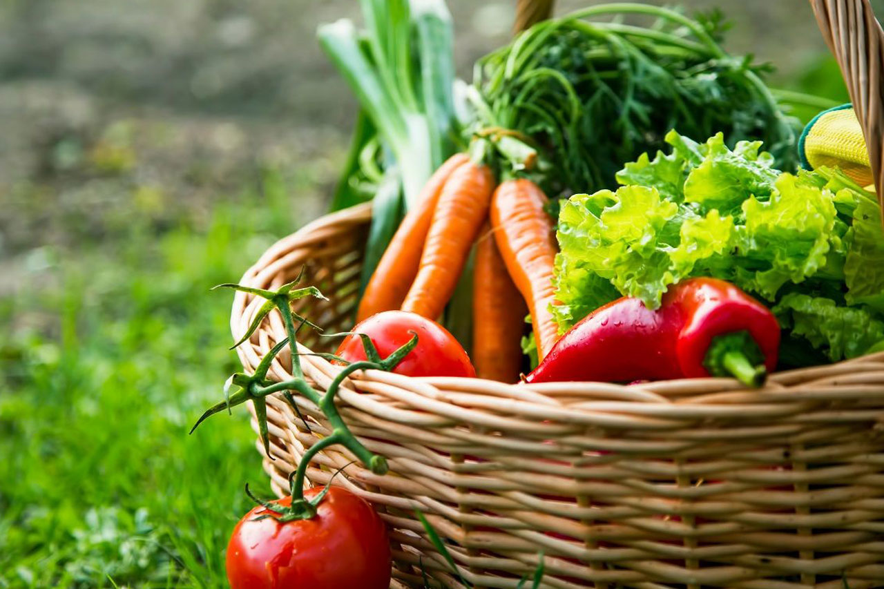 basket filled with organic vegetables