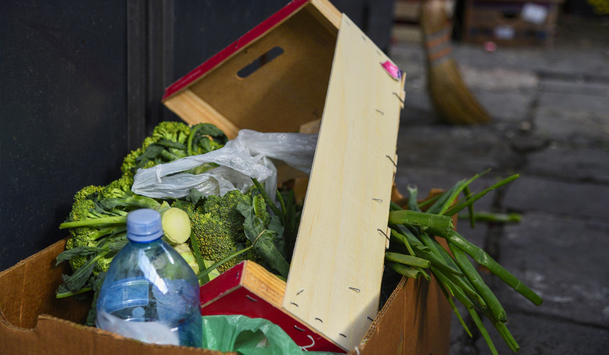 wasted food in garbage