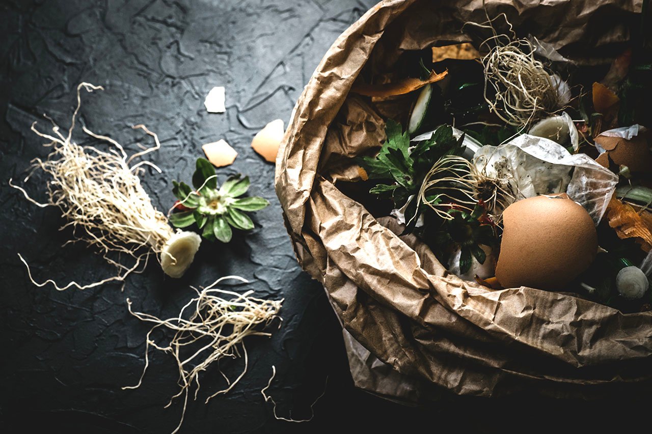 Organic food waste from vegetable ready for recycling and to compost on the dark background