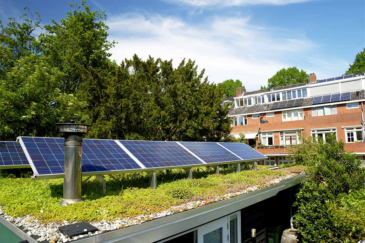 Solar panels on a green roof with flowering sedum plants