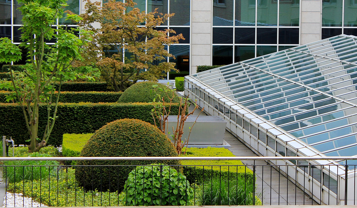 green garden on rooftop