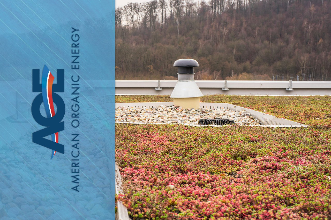 Green roof setup on top of building