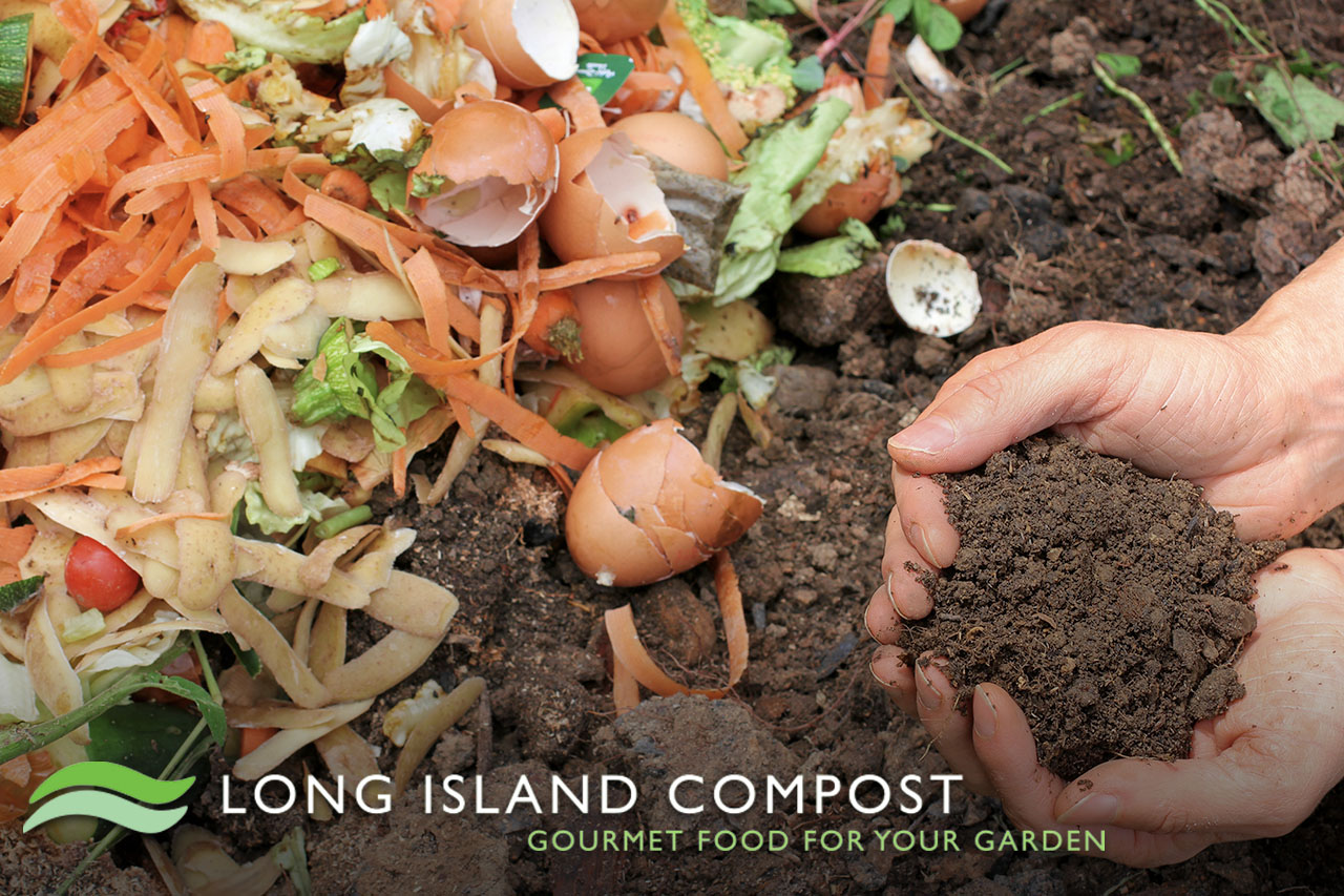 LI Compost - Gourmet Food for your Garden - Hands holding soil next to pile of compost